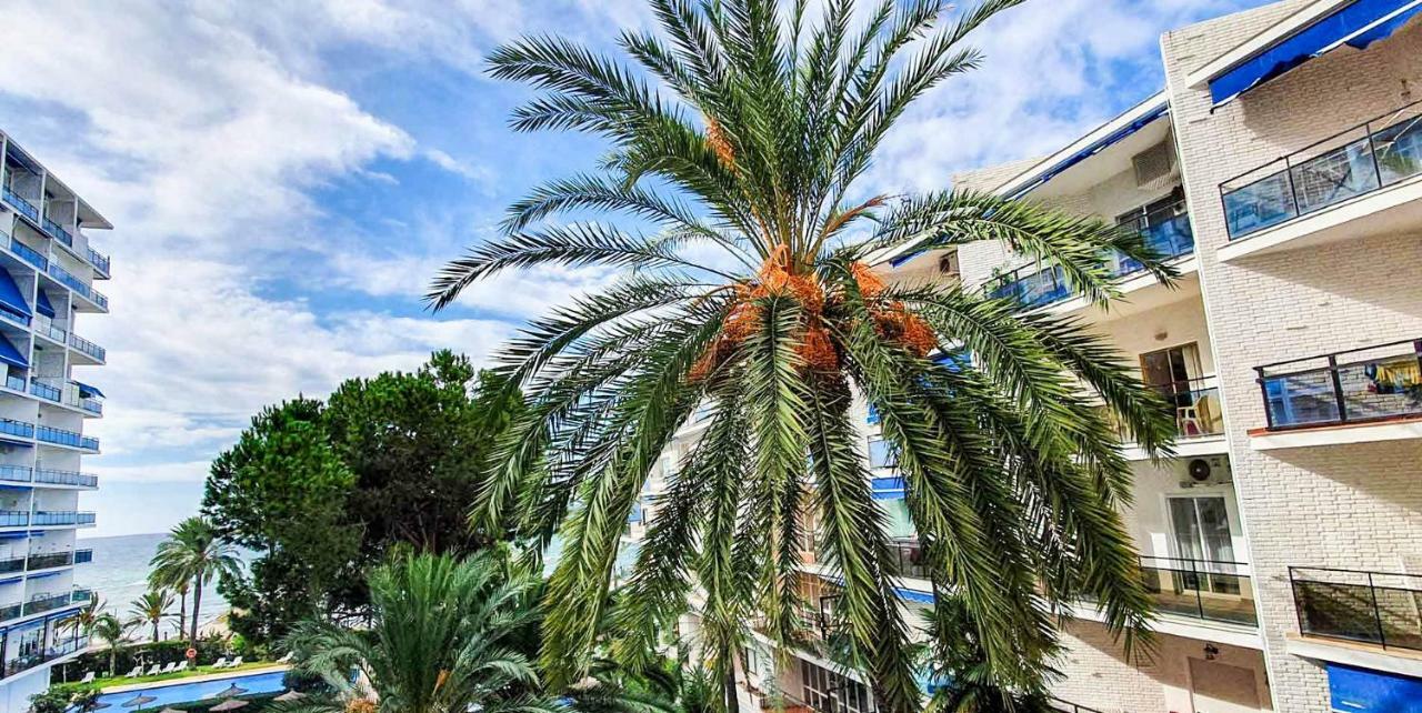 Skol Apartments Marbella Exterior foto